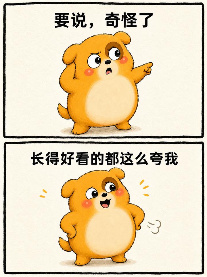 布朗尼案例 06