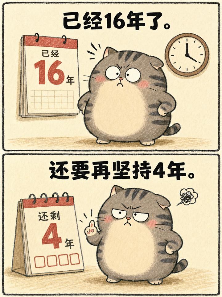 虎斑猫案例 03