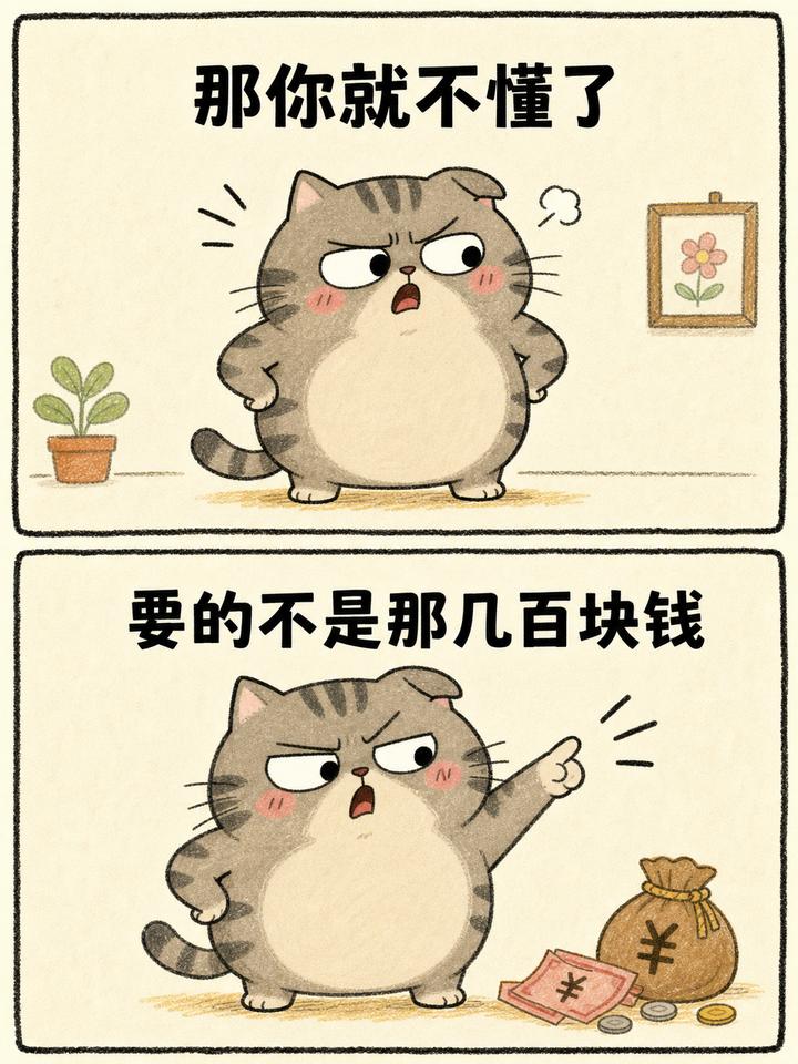 虎斑猫案例 05